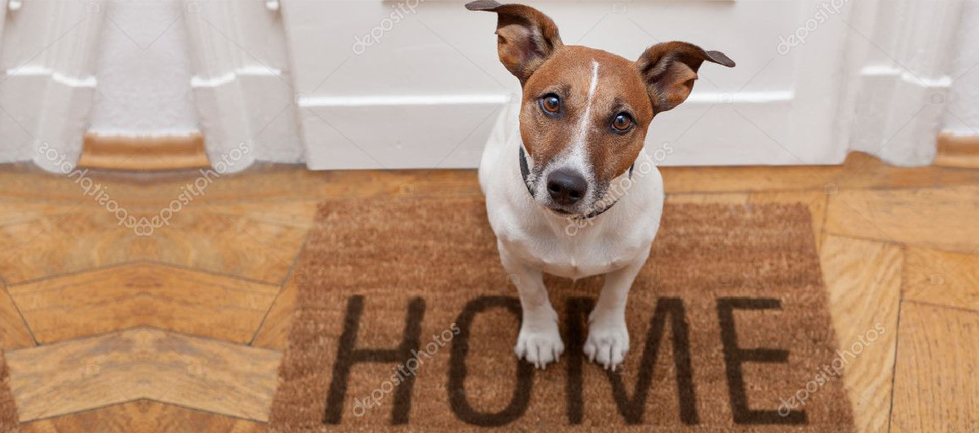 Dog standing on a door mat that says home with Home Insurance in Shawnee, OK